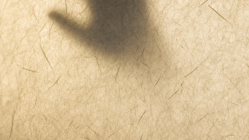 A backlit hand presses against translucent washi while five miniature figures look up from below.